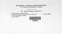 Image Associated With the Occurence